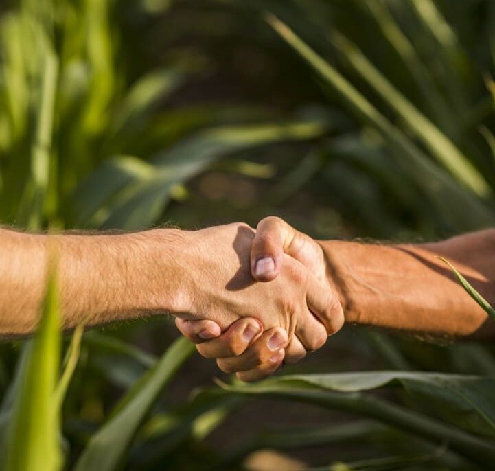 GT Agro 2 mercado Grande e1760446454756